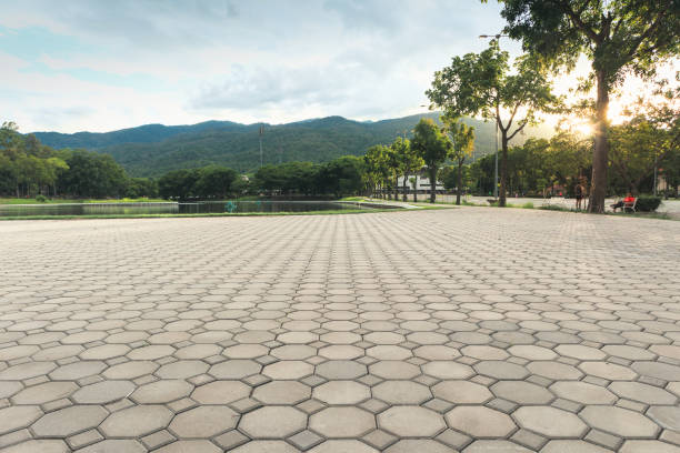 Best Commercial Driveway Pavers  in Buckeye, AZ